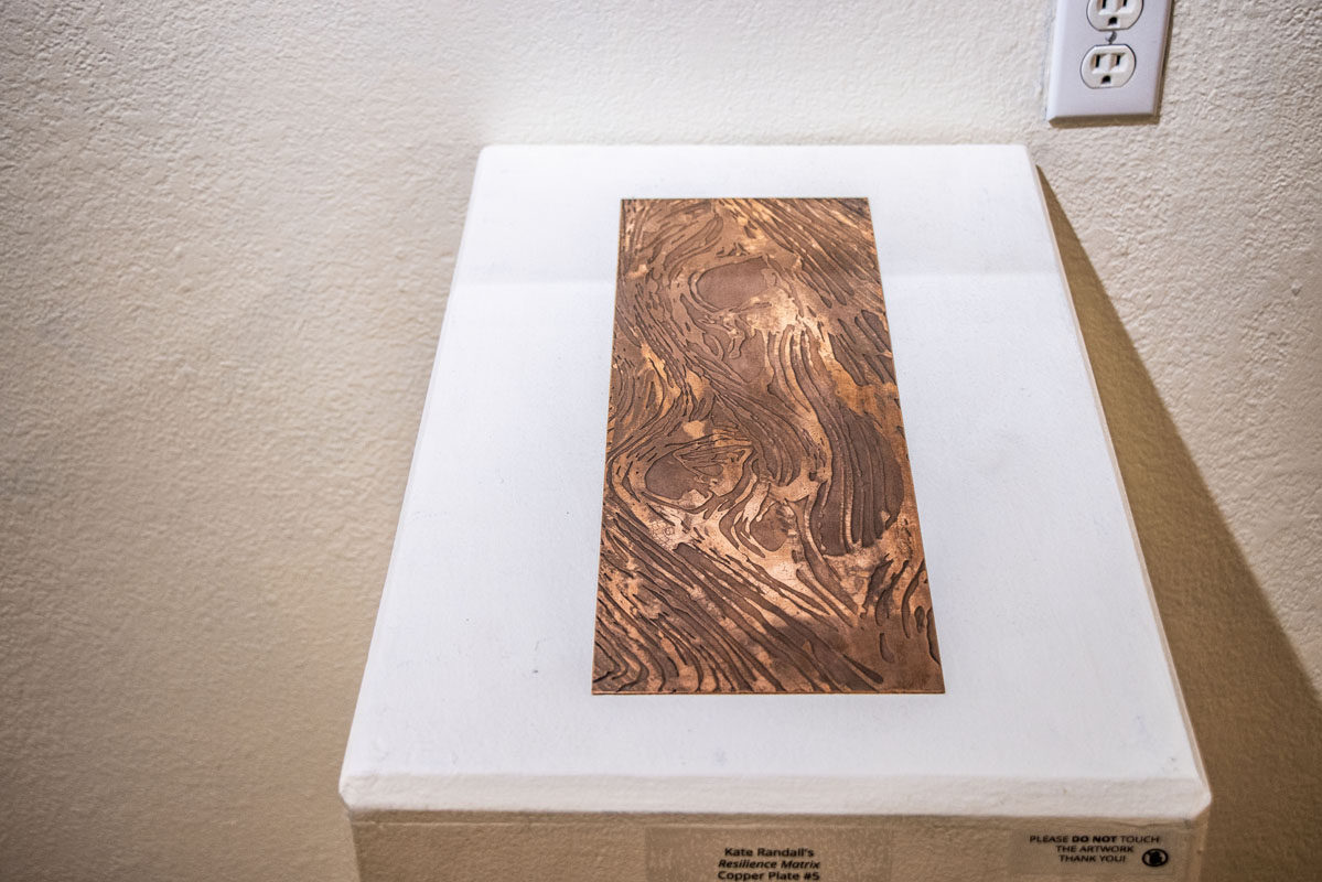 IMG_7458-2